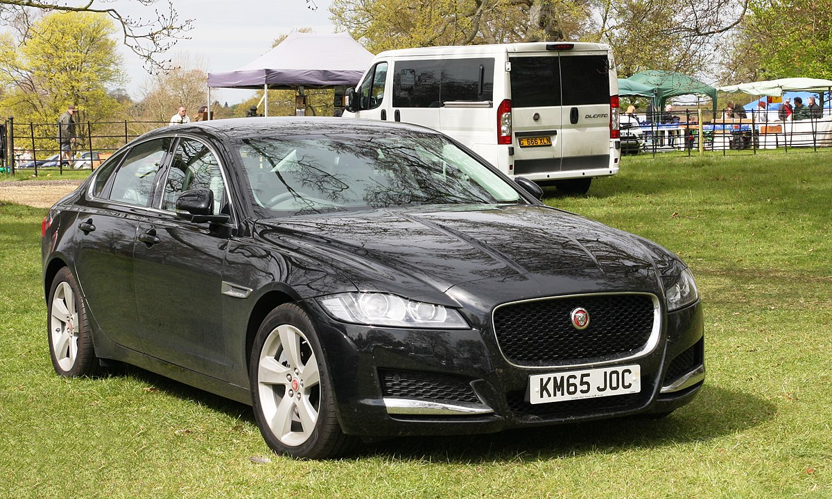 Xf